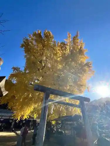 丹生酒殿神社(和歌山県)
