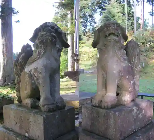 越後國二宮 二田物部神社の狛犬