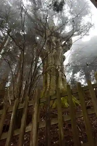 玉置神社(奈良県)