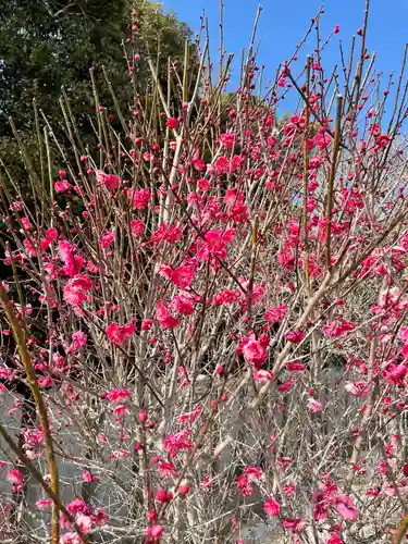 綱敷天満宮(福岡県)