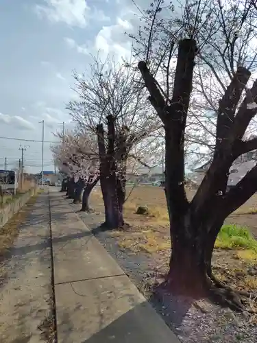  八幡神社(埼玉県)