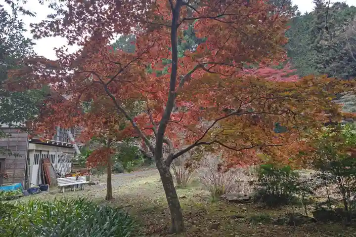 善教寺(岐阜県)