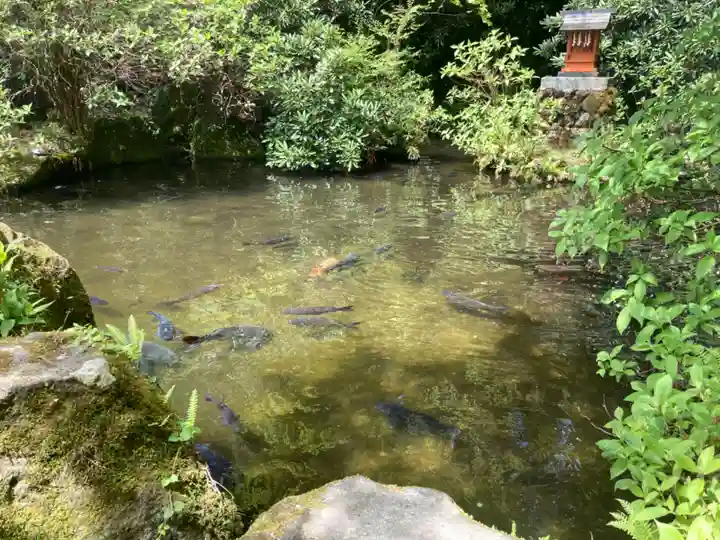 箱根神社(神奈川県)