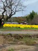 長谷寺(神奈川県)