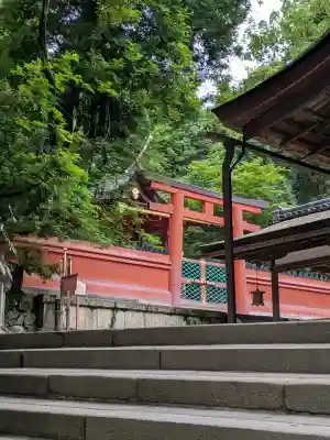 春日大社 若宮(春日若宮)(奈良県)