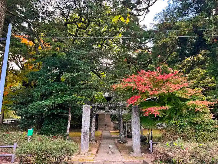 雷神社の自然