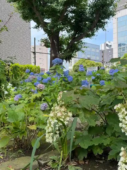 磐井神社(東京都)