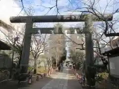 亀戸 香取神社の鳥居