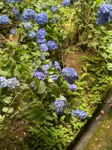 柳谷観音　楊谷寺(京都府)