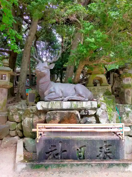 春日大社(奈良県)
