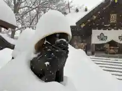 札幌諏訪神社の狛犬