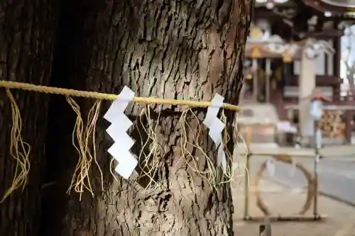 諏訪神社の{uncategorized: "未分類", other: "その他", undefined: "問題あり", building: "その他建物", grave: "お墓", sacred_gate: "鳥居", guardian: "狛犬", statue: "像", buddha: "仏像", history: "歴史", nature: "自然", garden: "庭園", animal: "動物", pagoda: "塔", temizu: "手水舎", mountain_gate: "山門・神門", sanctuary: "本殿・本堂", subordinate: "末社・摂社", art: "芸術", scenery: "景色", jizo: "地蔵", ema: "絵馬", goshuin: "御朱印", omikuji: "おみくじ", items: "授与品その他", amulet: "お守り", goshuincho: "御朱印帳", eats: "食事", festival: "お祭り", votive_dance: "神楽", shichigosan: "七五三参", wedding: "結婚式", experience: "体験その他", initially: "初詣", around: "周辺", anti_infection: "感染症対策"}