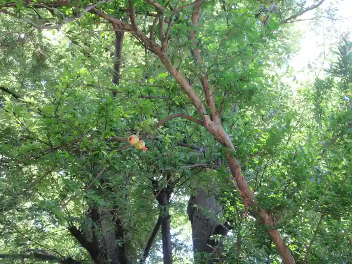 長昌寺(神奈川県)