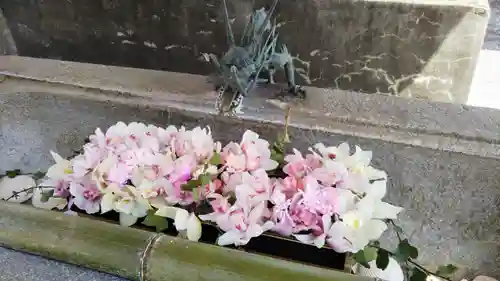 徳島眉山天神社の手水