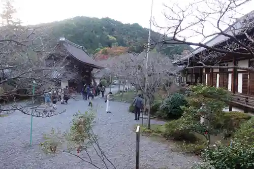 毘沙門堂門跡(京都府)