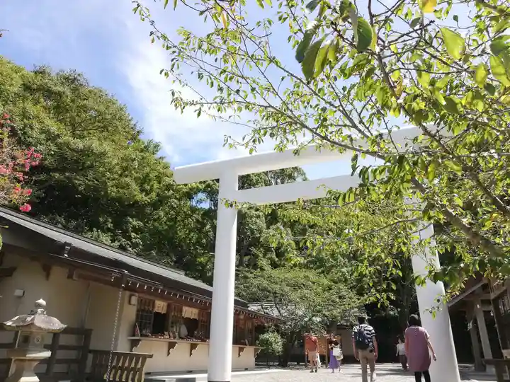 安房神社の鳥居