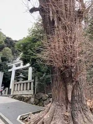 日枝神社のその他建物