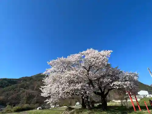 天神宮(伝河原氏屋敷跡)の自然