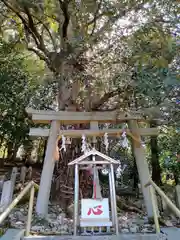 丹生酒殿神社(和歌山県)