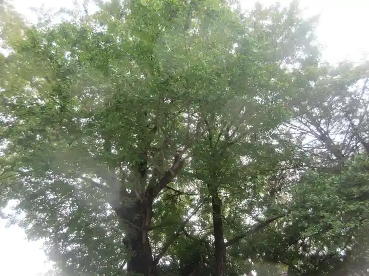 白笹稲荷神社(神奈川県)