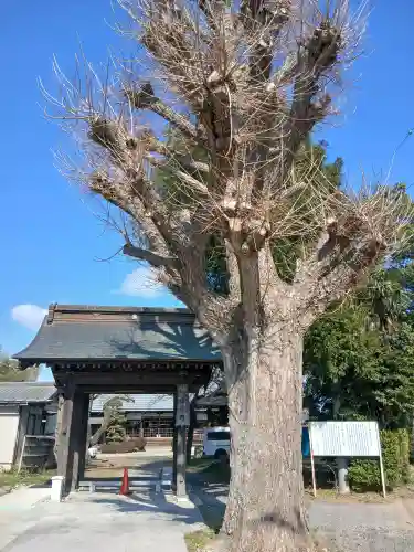 西光寺(茨城県)