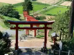 高屋敷稲荷神社の鳥居