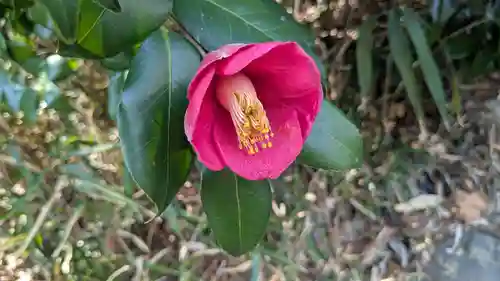 子鍬倉神社の自然
