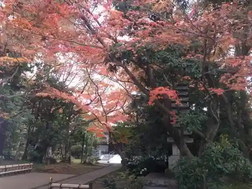 大正寺の庭園