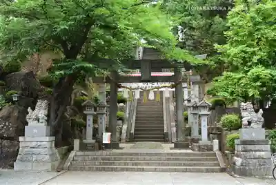 師岡熊野神社(神奈川県)