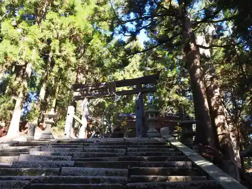 愛宕神社の鳥居