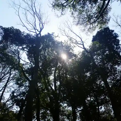 鹿島神宮の自然