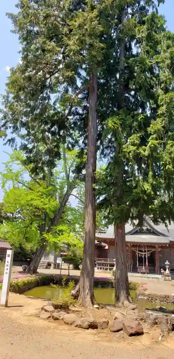 熊野神社の自然
