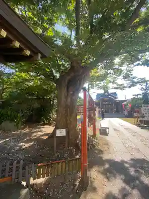 久里浜天神社(神奈川県)