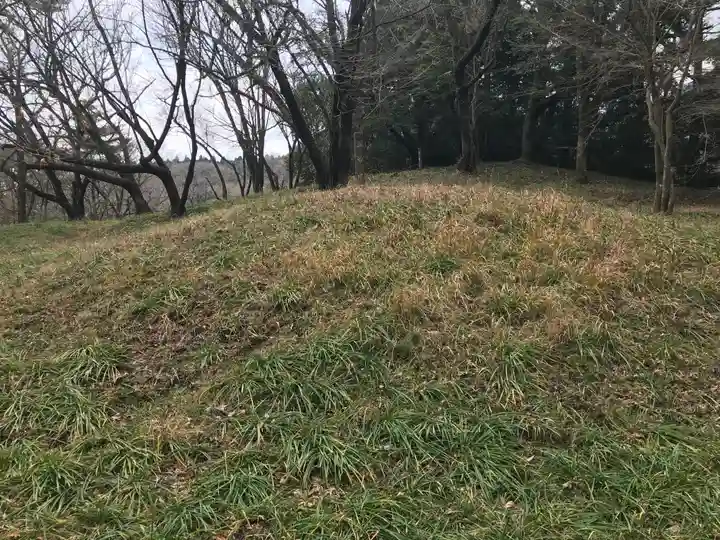 皇子原神社の自然
