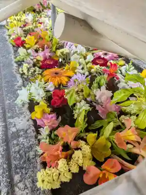 鳩森八幡神社(東京都)