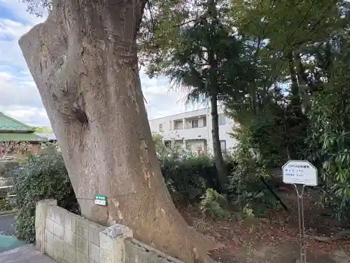 二之江神社(東京都)