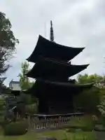 信濃國分寺の{uncategorized: "未分類", other: "その他", undefined: "問題あり", building: "その他建物", grave: "お墓", sacred_gate: "鳥居", guardian: "狛犬", statue: "像", buddha: "仏像", history: "歴史", nature: "自然", garden: "庭園", animal: "動物", pagoda: "塔", temizu: "手水舎", mountain_gate: "山門・神門", sanctuary: "本殿・本堂", subordinate: "末社・摂社", art: "芸術", scenery: "景色", jizo: "地蔵", ema: "絵馬", goshuin: "御朱印", omikuji: "おみくじ", items: "授与品その他", amulet: "お守り", goshuincho: "御朱印帳", eats: "食事", festival: "お祭り", votive_dance: "神楽", shichigosan: "七五三参", wedding: "結婚式", experience: "体験その他", initially: "初詣", around: "周辺", anti_infection: "感染症対策"}