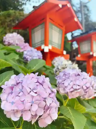 穴八幡宮(東京都)