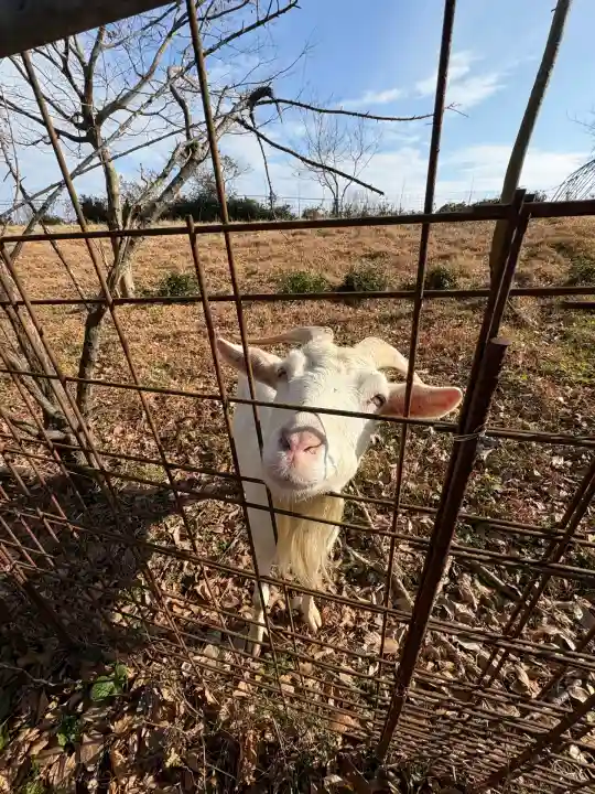 田尾山大師堂(徳島県)