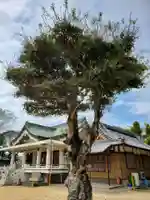鳥羽八幡神社の本殿・本堂