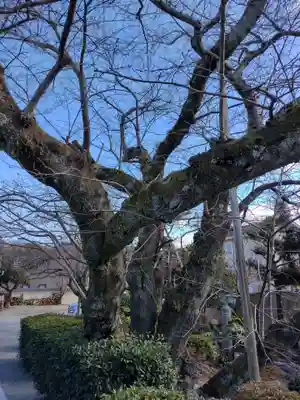 浄明寺(三重県)