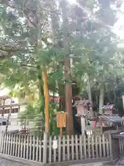 大神神社の自然