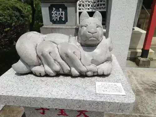 新倉氷川八幡神社の狛犬