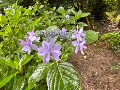 長慶寺(大阪府)