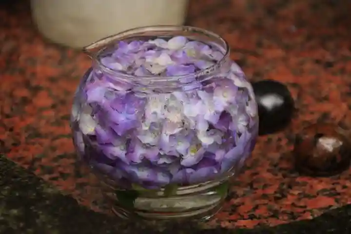 開成山大神宮の手水舎