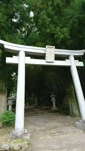 国造神社の鳥居