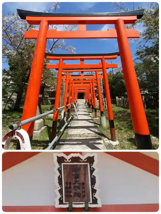 土佐稲荷神社の{uncategorized: "未分類", other: "その他", undefined: "問題あり", building: "その他建物", grave: "お墓", sacred_gate: "鳥居", guardian: "狛犬", statue: "像", buddha: "仏像", history: "歴史", nature: "自然", garden: "庭園", animal: "動物", pagoda: "塔", temizu: "手水舎", mountain_gate: "山門・神門", sanctuary: "本殿・本堂", subordinate: "末社・摂社", art: "芸術", scenery: "景色", jizo: "地蔵", ema: "絵馬", goshuin: "御朱印", omikuji: "おみくじ", items: "授与品その他", amulet: "お守り", goshuincho: "御朱印帳", eats: "食事", festival: "お祭り", votive_dance: "神楽", shichigosan: "七五三参", wedding: "結婚式", experience: "体験その他", initially: "初詣", around: "周辺", anti_infection: "感染症対策"}