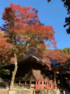 普門寺(切り絵御朱印発祥の寺)(愛知県)(2023年11月26日(日) 20時36分39秒投稿)