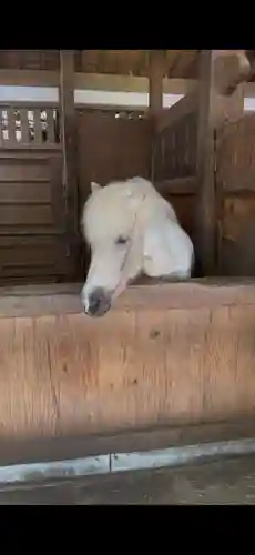 金刀比羅宮(香川県)