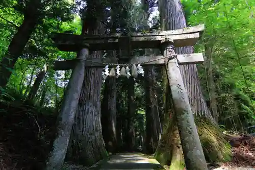 隠津島神社の鳥居